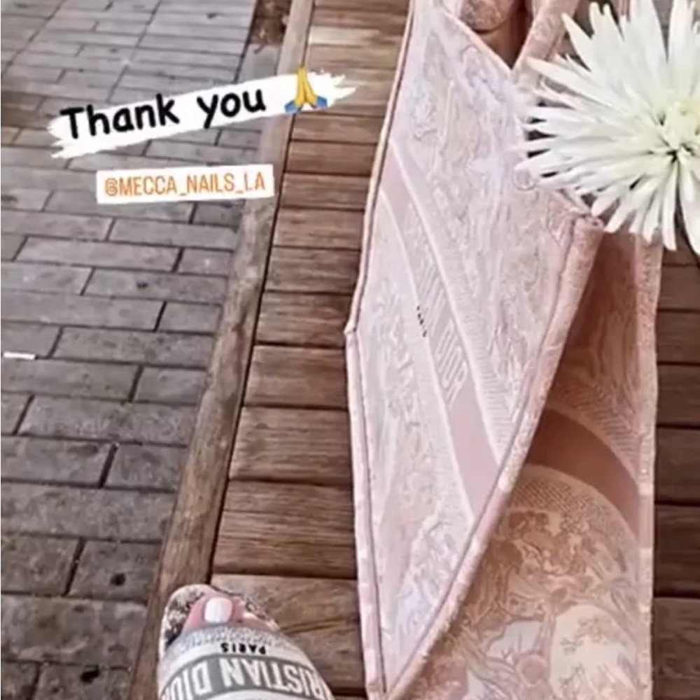 COPY - CHRISTIAN DIOR bag Canvas Toile De Jouy Embroidered Large Book Tote Pink